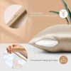 1PC Champagne Queen Size 20"x30" Lacette Silk Pillowcase for Hair and Skin, 22 Momme 6A Soft Silk Pillow Case with Hidden Zipper, Gift Box
